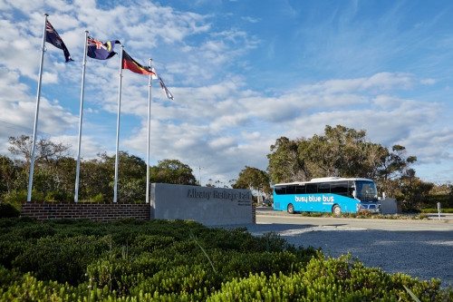 Busy Blue Bus Tours